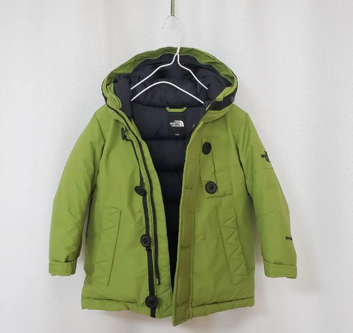 ノースフェイス キッズ 100 グースダウン