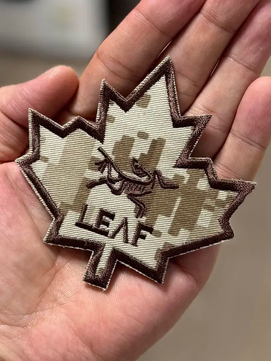 アークテリクス LEAF パッチ メープル