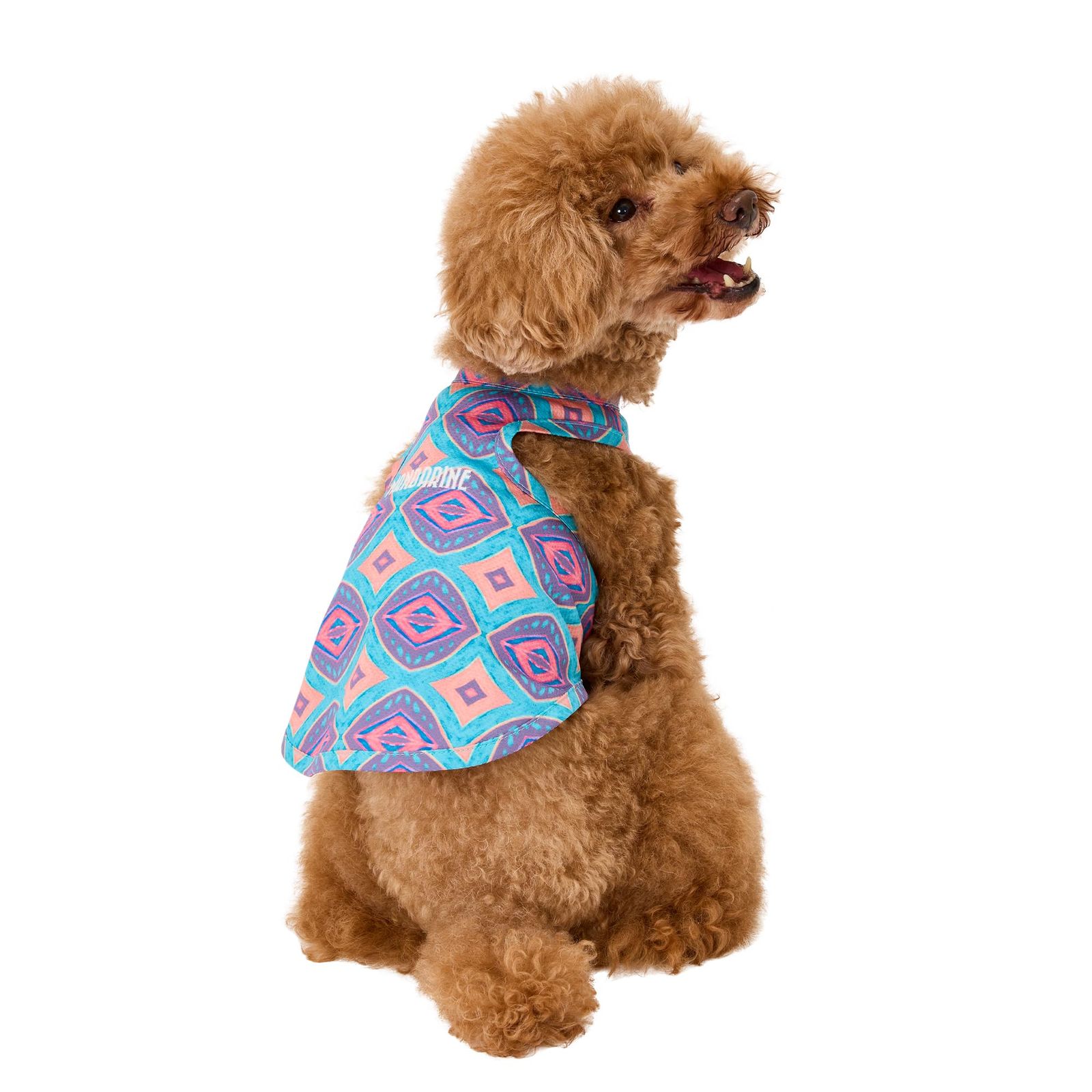 2024 中国 大清乾隆年製 青磁 刻雲文水孟 C 7849E