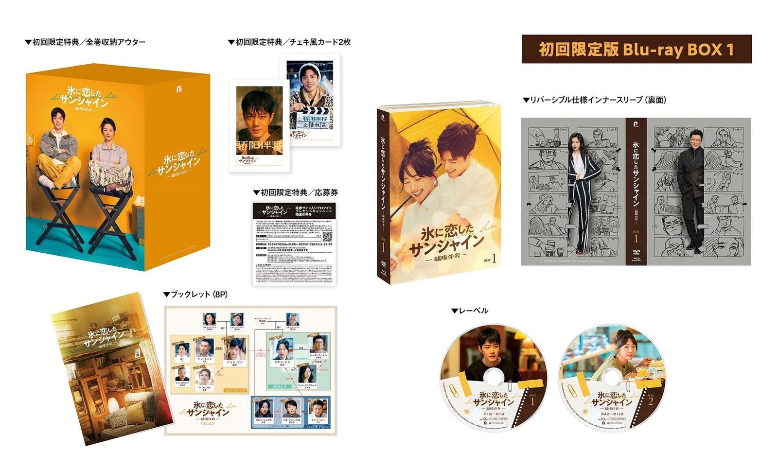 氷に恋したサンシャイン -驕陽伴我- Blu-ray BOX1 初回 版 Blu-ray シャオ ジャン 肖戦 出演 バイ バイハー 白百何 出演 形式 Blu-ray