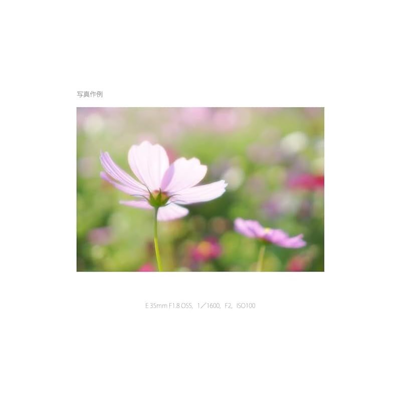 SONY 単焦点レンズ E 35mm F1.8 OSS ソニー Eマウント用 APS-C SEL35F18 WWW_OPDRERGINERDOGAN_COM