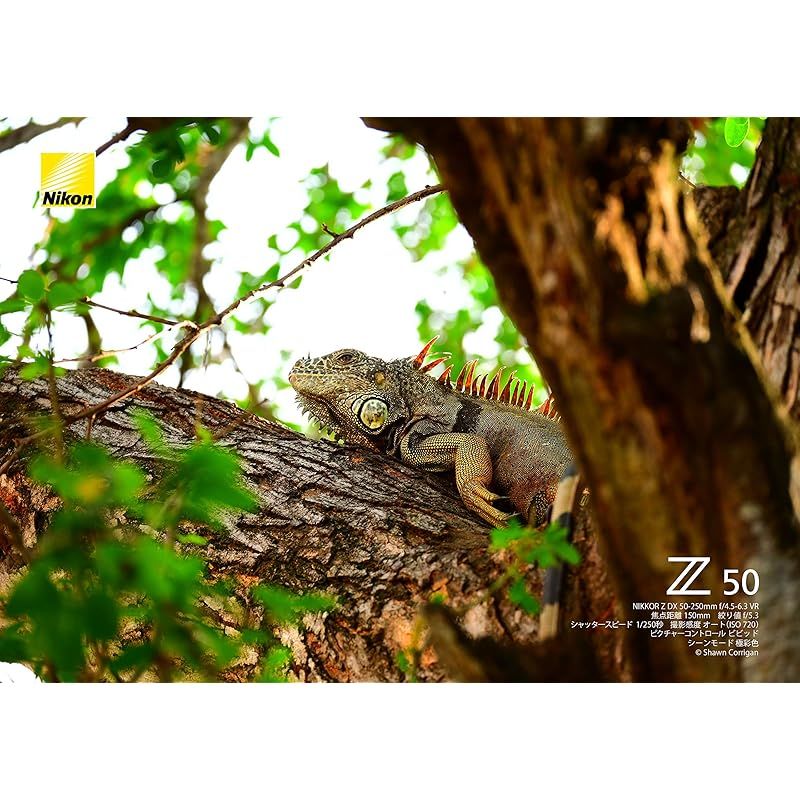 Nikon 望遠ズームレンズ NIKKOR Z DX 50-250mm f 4.5-6.3 VR Zマウント DXレンズ NZDXVR50-250