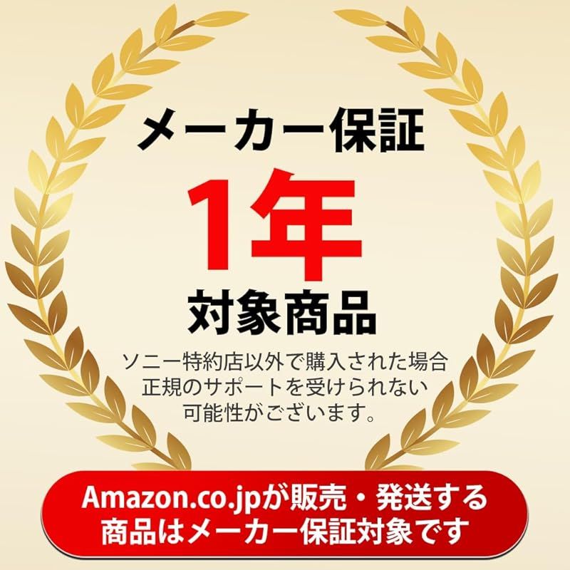 SONY 望遠ズームレンズ E 55-210mm F4.5-6.3 OSS ソニー Eマウント用 APS-C SEL55210