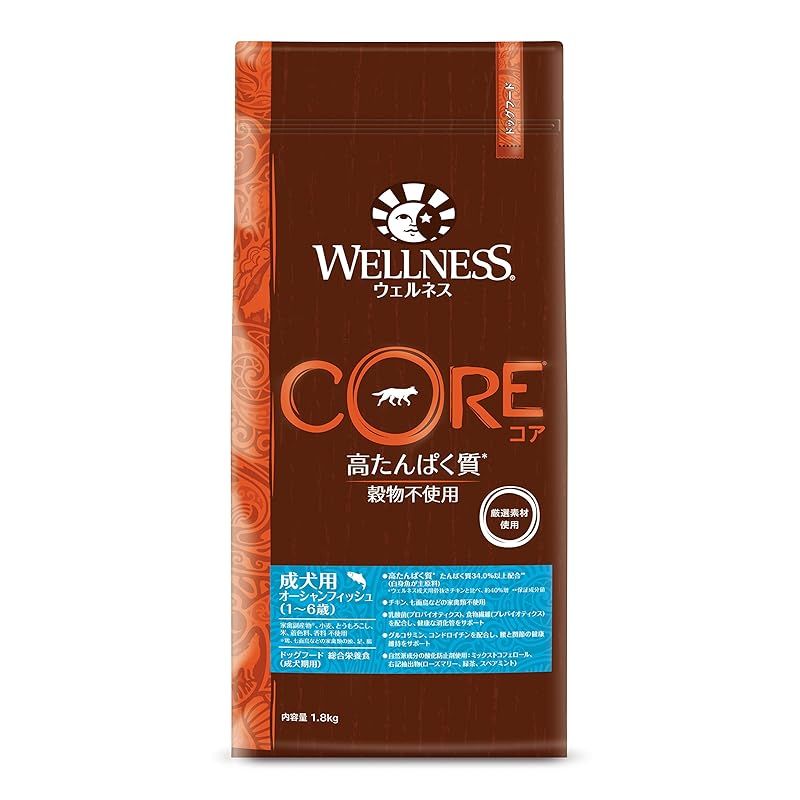 小暮真望 【雲海にたいする宝永富士】 セリグラフ