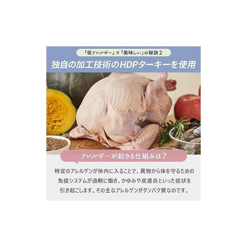 ペロリコ ドッグフード アレカット（2kg) 全犬種・全年齢 食物