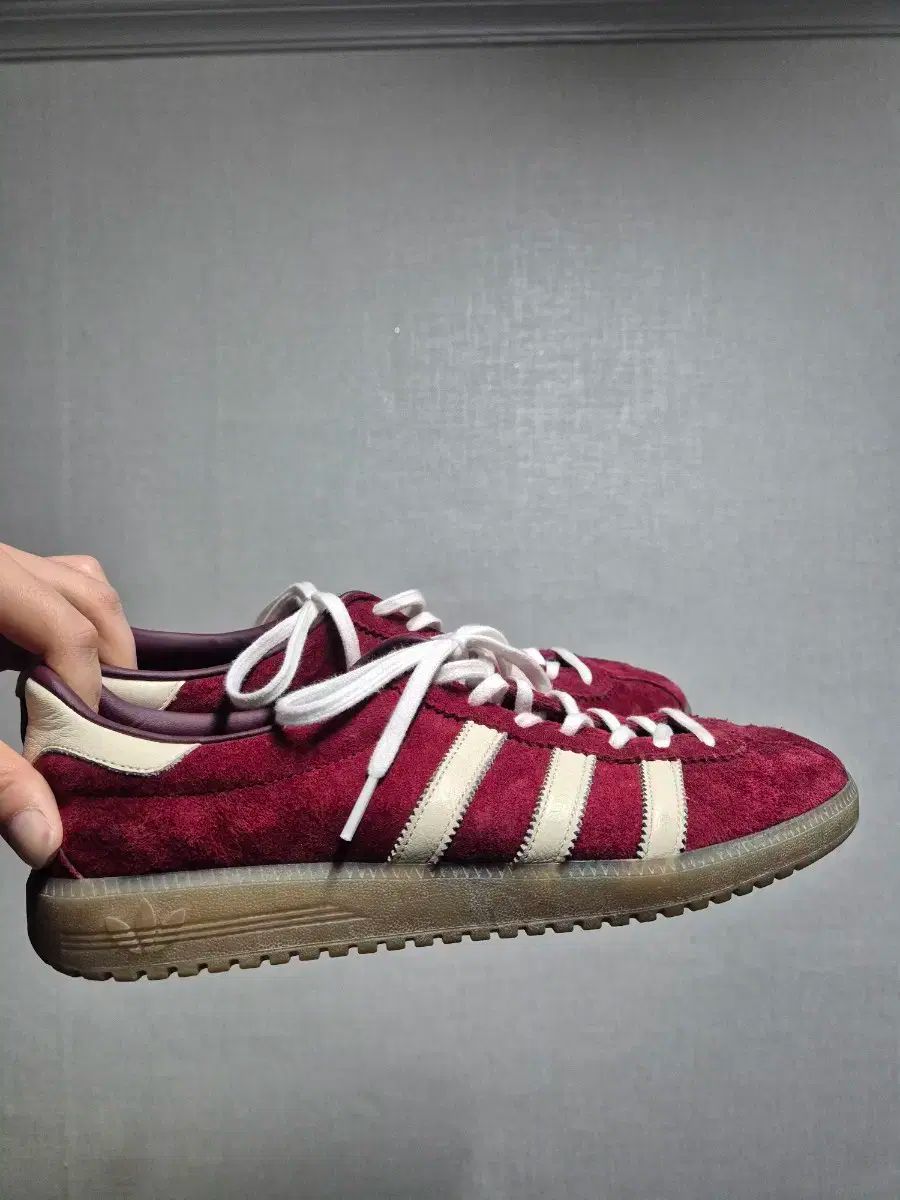 アディダス バミューダ カレッジ バーガンディ 290