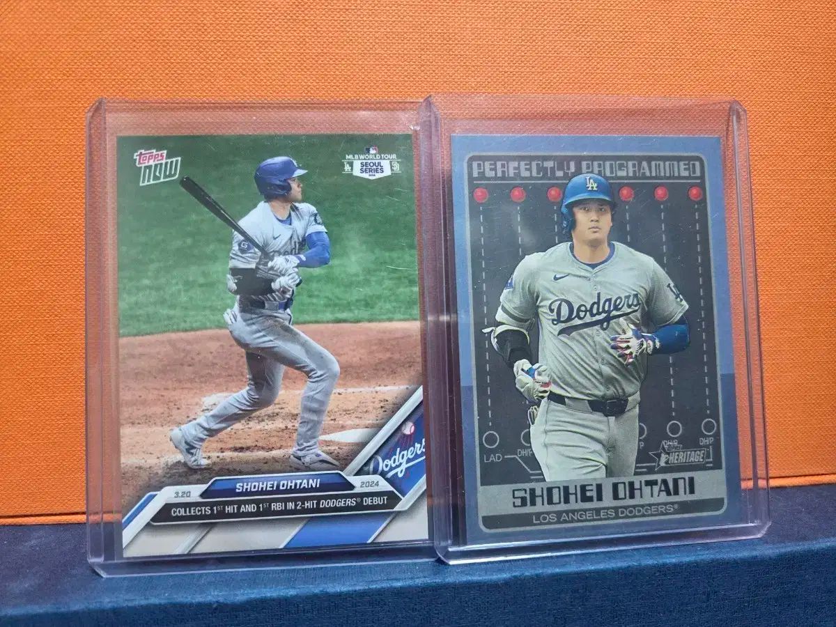 2024年度ジャック幼児教育研究所 成蹊小学校 夏期講習会フルセット