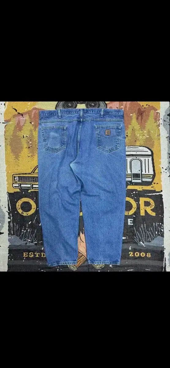 44x28 Carhartt カーハート ウォーク デニム パンツ B17 DST