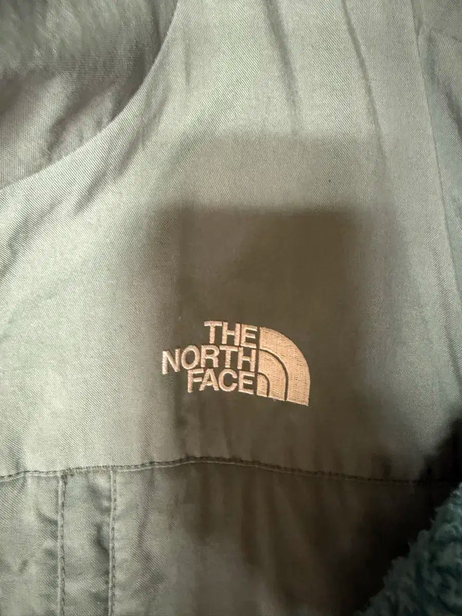 ティルグリーン L