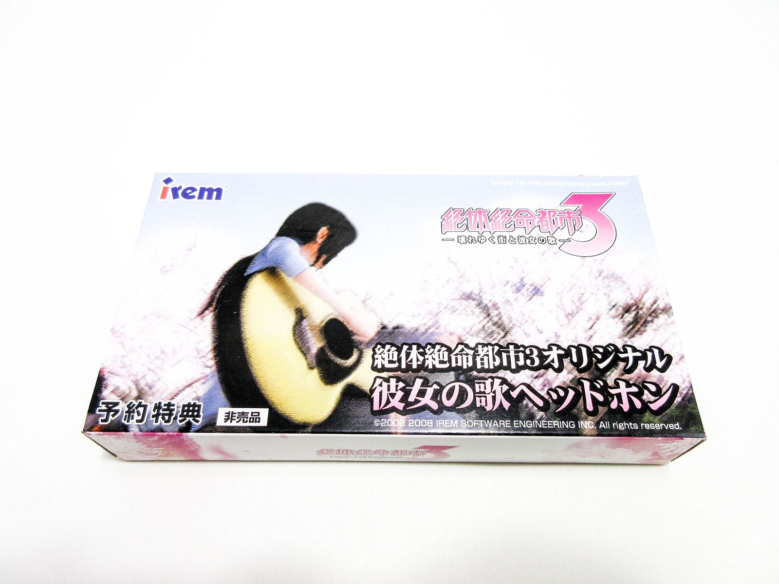 壊れゆく街と彼女の歌