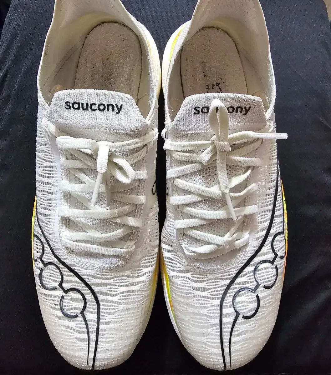 Saucony エンドルフィン エリート2 290mm