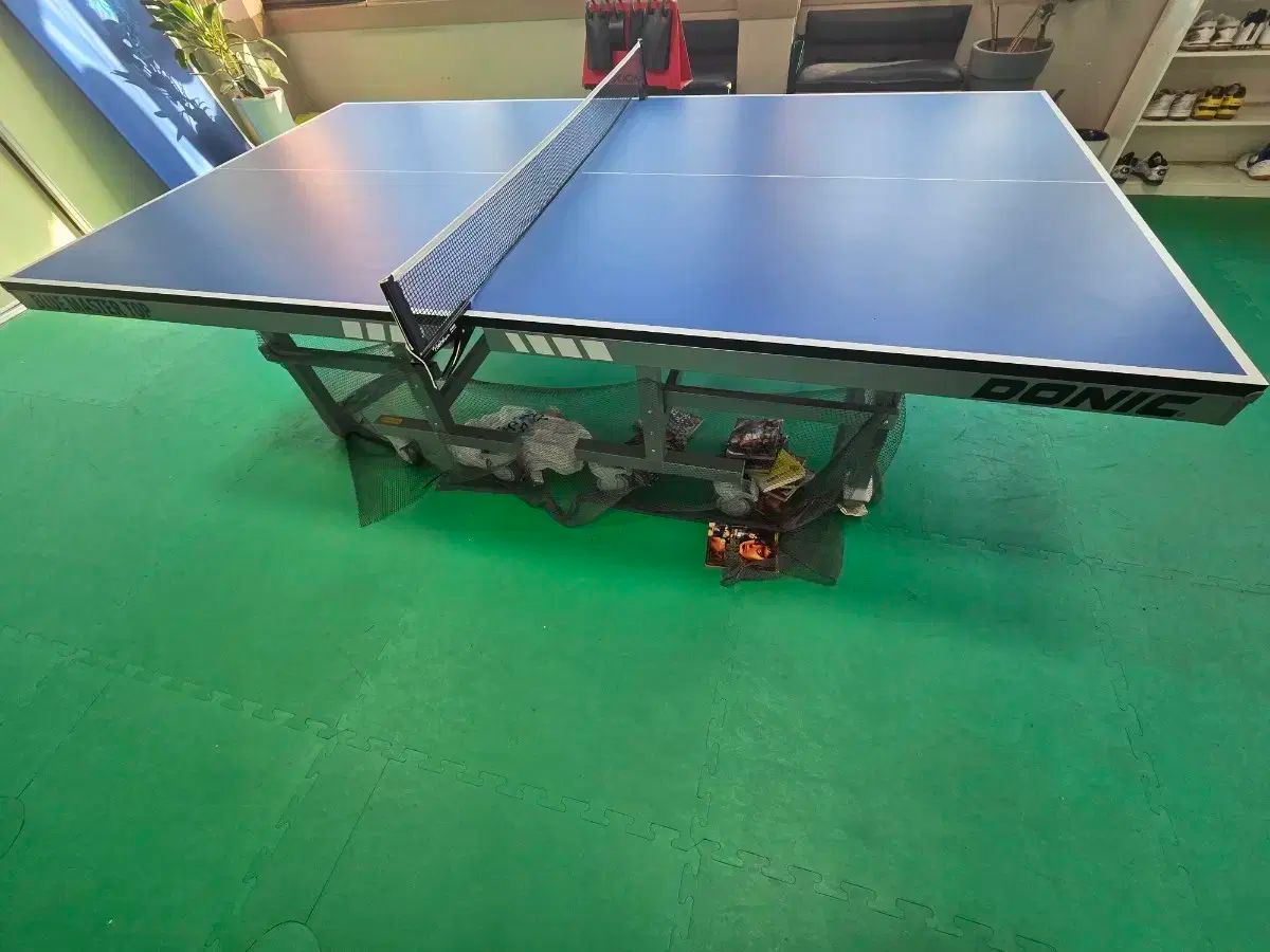 卓球台 ドニック ブルー マスター トップス 2台