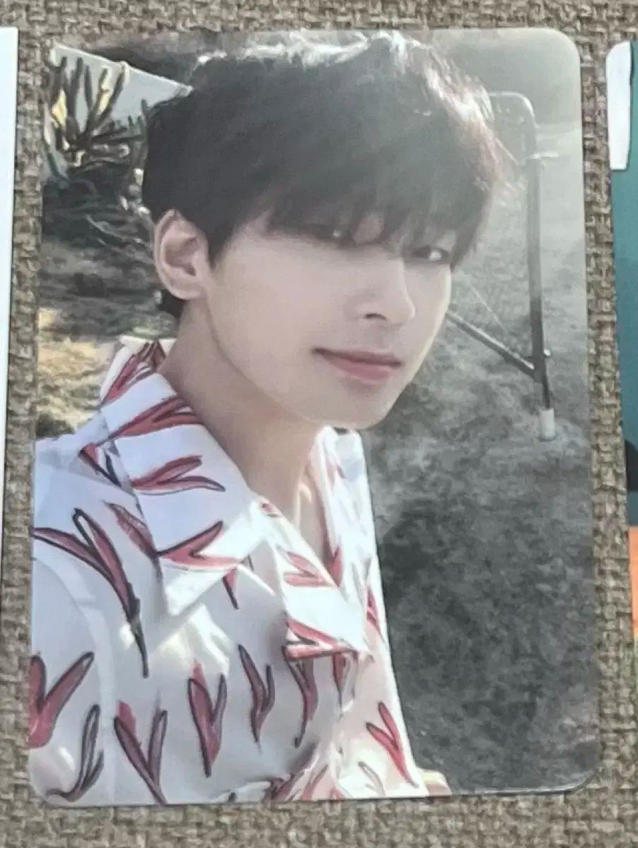 ウォヌ ヘンガレ ヨントン トレカ SEVENTEEN face the sun 中華ヨントン トレカ ウォヌ - メルカリ