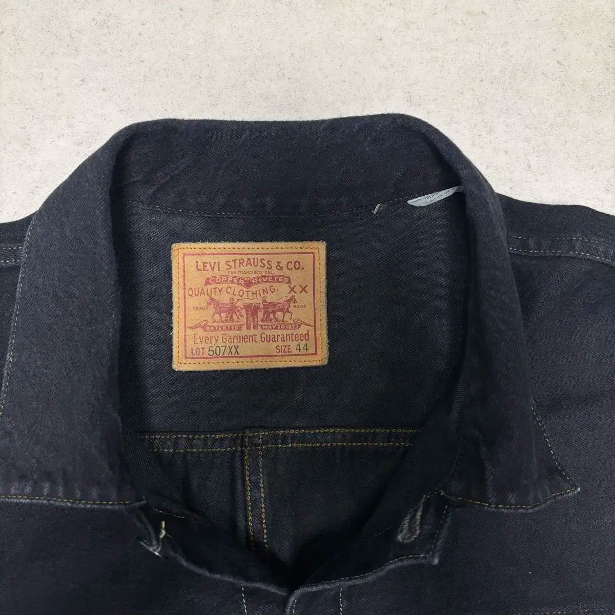 Lvcタイプ2 ブラックリザード A0448-0003 エックスラージサイズ