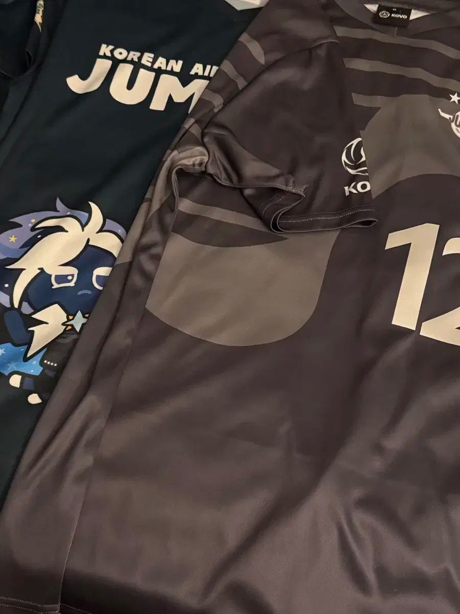  大韓航空ジャンボズ グッズ まとめ その他 武道 格闘技