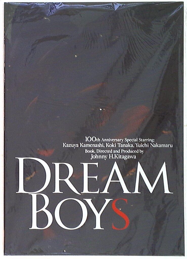 KAT-TUN 11年 DREAM BOYS 亀梨和也/中丸雄一/田中聖 パンフレット