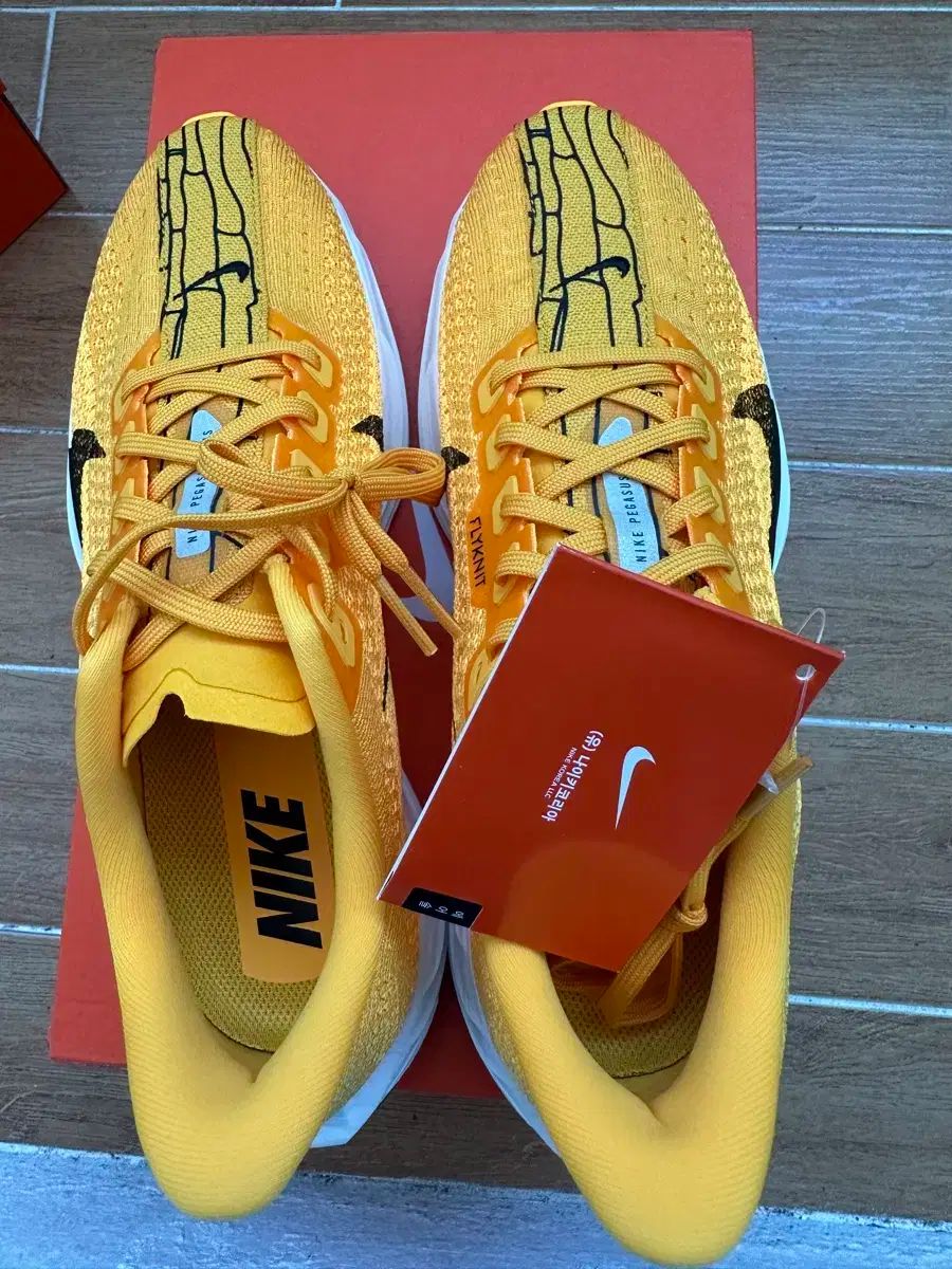 ペガサス PLUS 250 ランニングシューズ