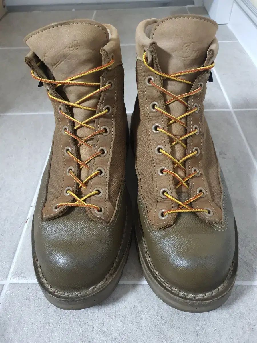 ダナー ライト パターソン US8 EE