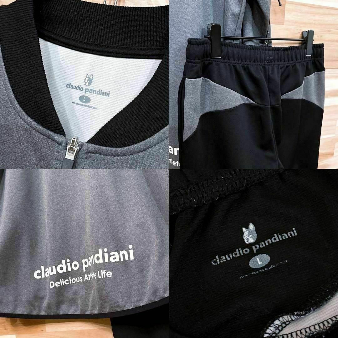 クラウディオパンディアーニ セットアップ