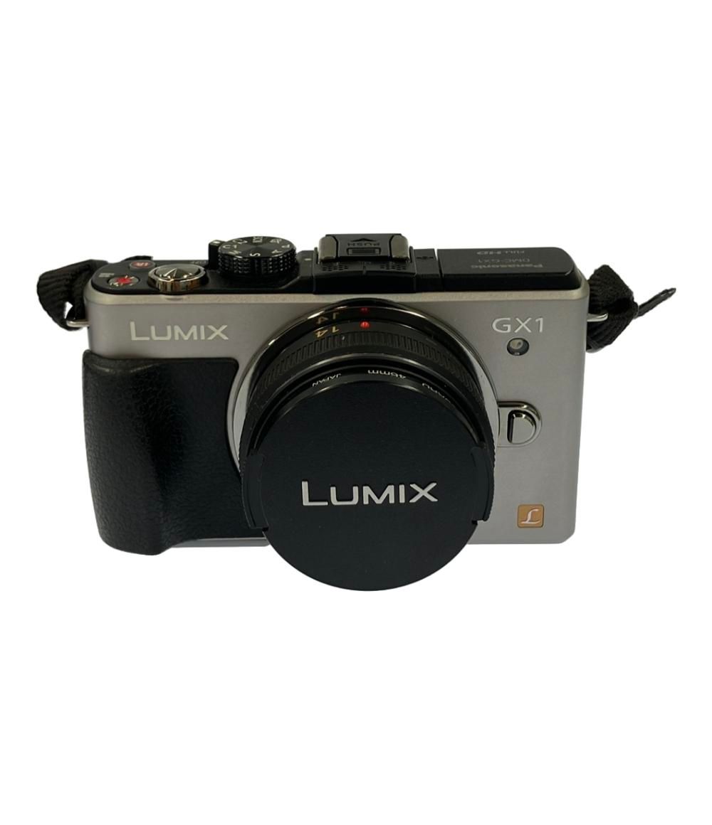 パナソニック ミラーレス一眼カメラ LUMIX DMC-GX1 ダブルレンズキット Panasonic