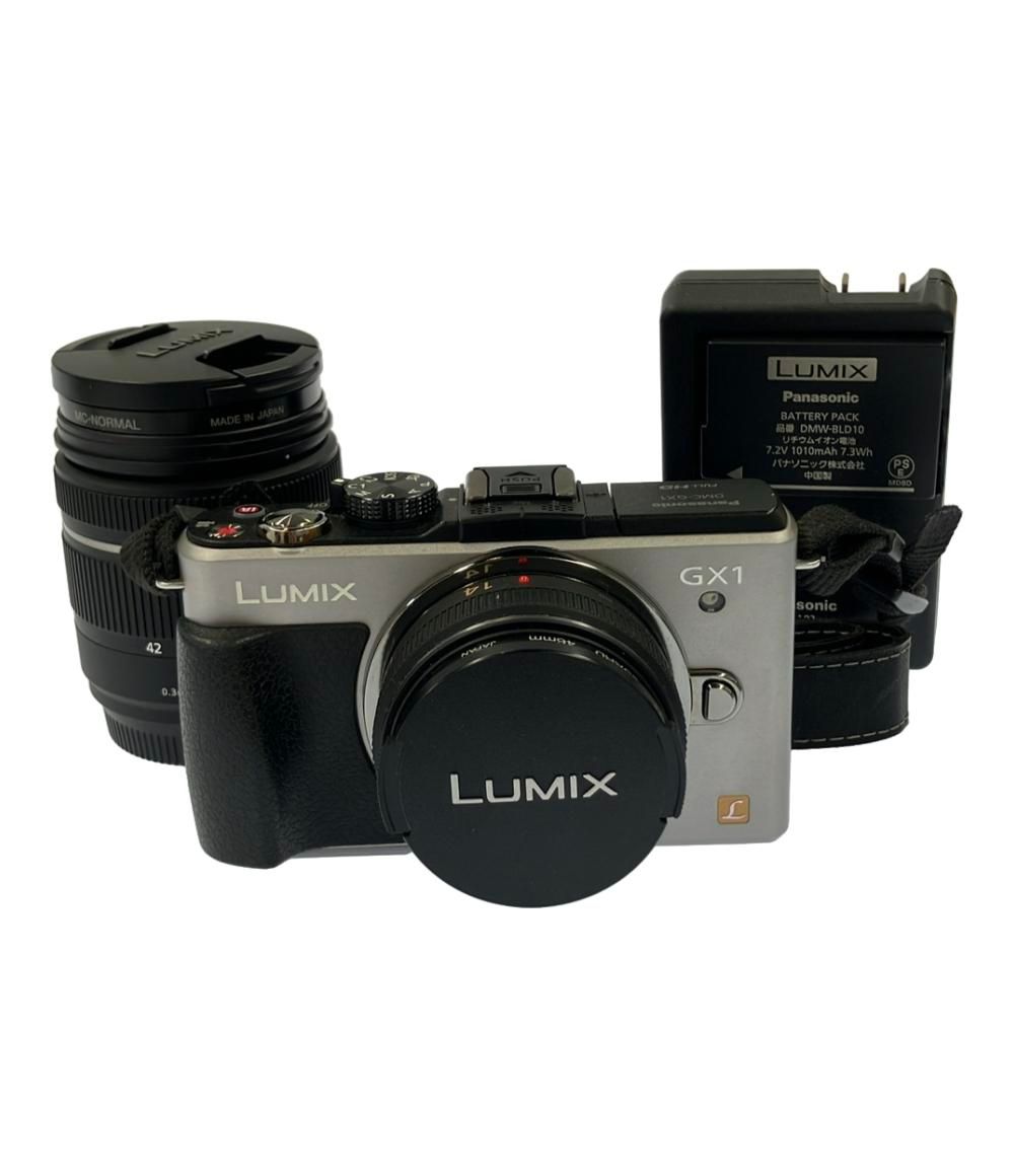 パナソニック ミラーレス一眼カメラ