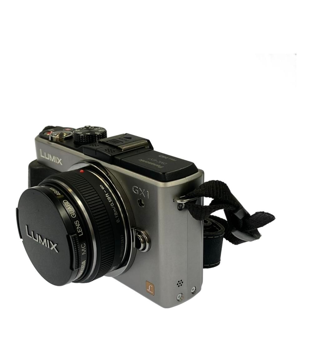 パナソニック ミラーレス一眼カメラ LUMIX DMC-GX1 ダブルレンズキット Panasonic