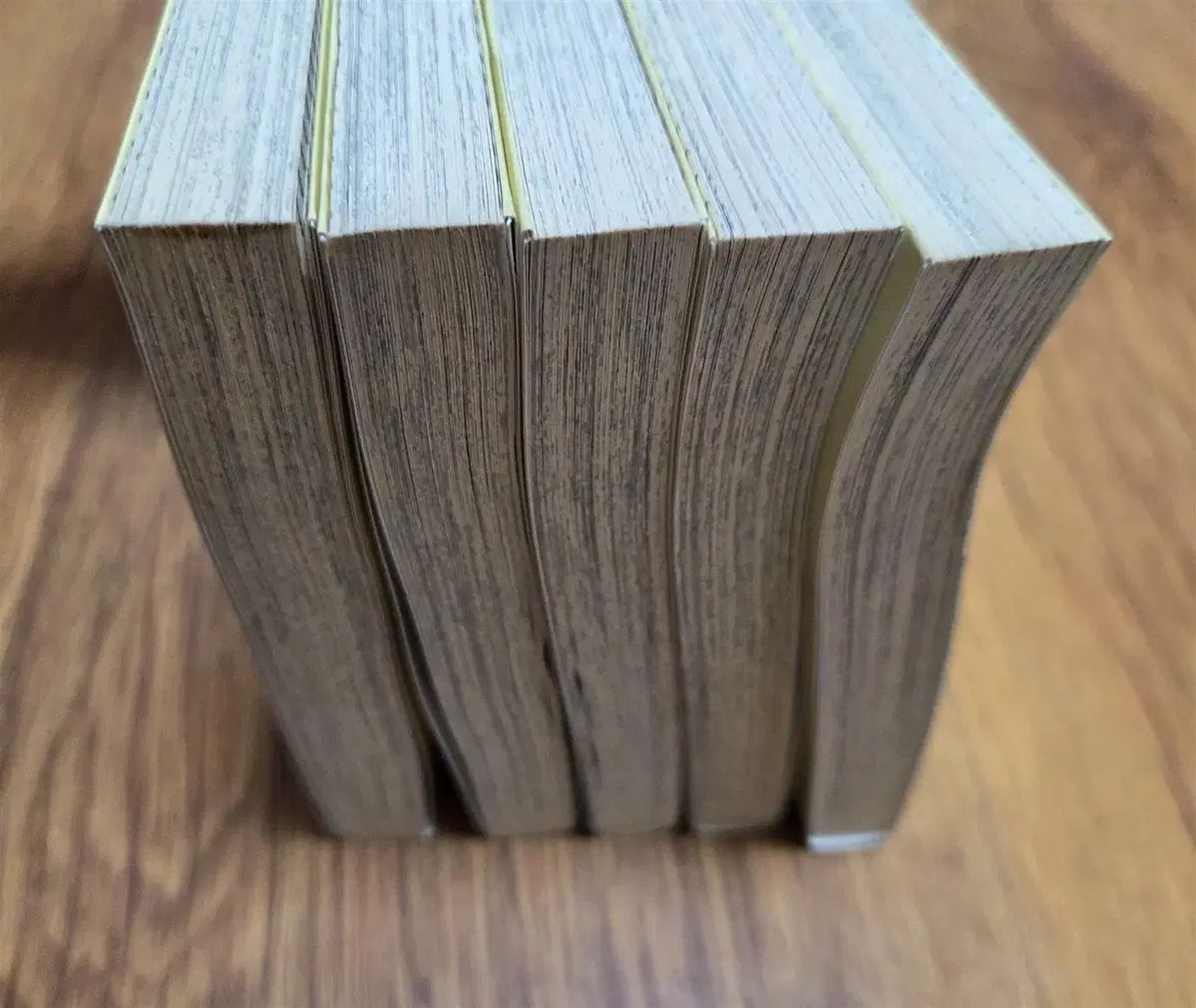 野ばら少女 1-5 完 五十嵐 裕美子