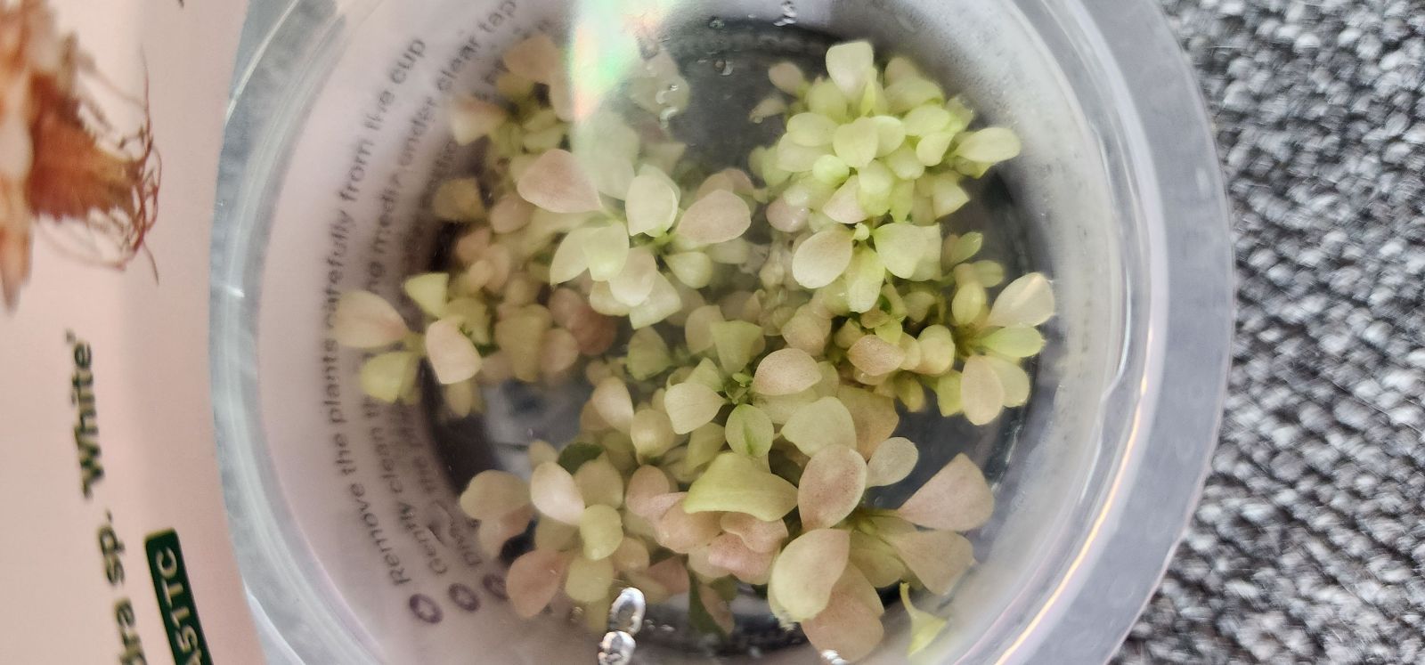 海街diary Blu-rayスタンダード・エディション