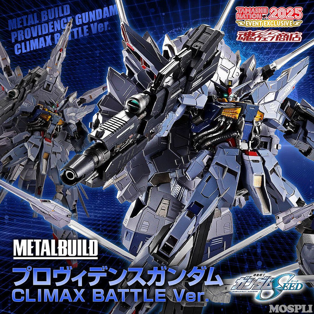 METAL BUILD プロヴィデンスガンダム CLIMAX BATTLE Ver. ノンスケール彩色済可動フィギュア BANDAI SPIRITS 販路 輸送箱