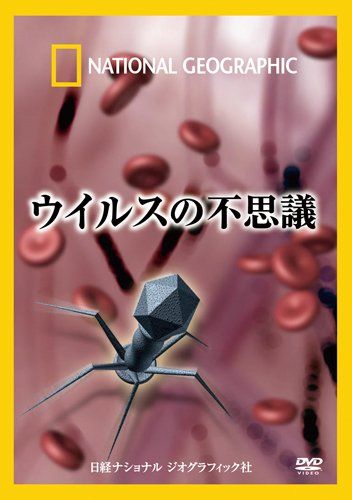 DVD 小売業者 ウイルスの不思議