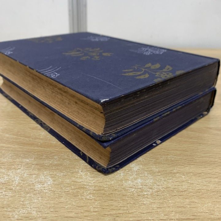 △01)【1点限り!】萬葉集新釋 上下巻 2冊セット/澤瀉久孝/星野書店