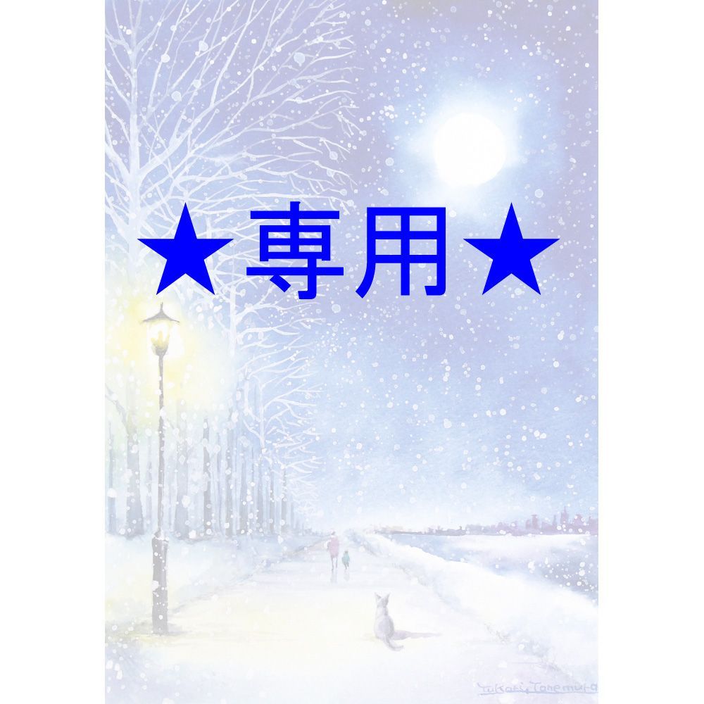 RUKURUKUさま専用（原画）月雪の道【SMサイズ／水彩画／#2827】 - メルカリ