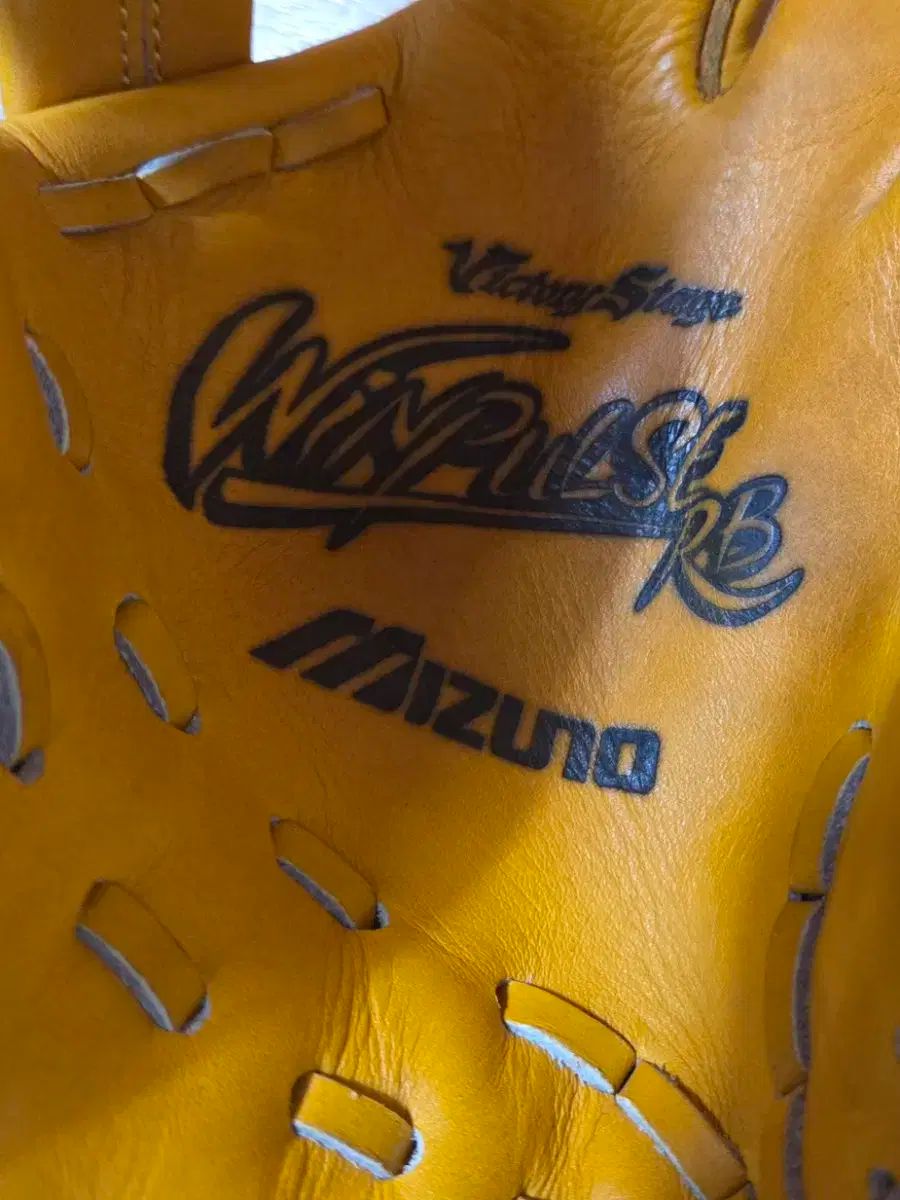 グローブ 11.5インチ