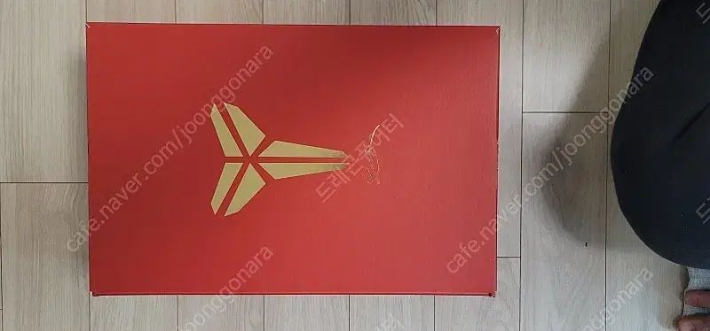  コービー5 マンバOFイヤー シューズ(男性用) バスケットボール