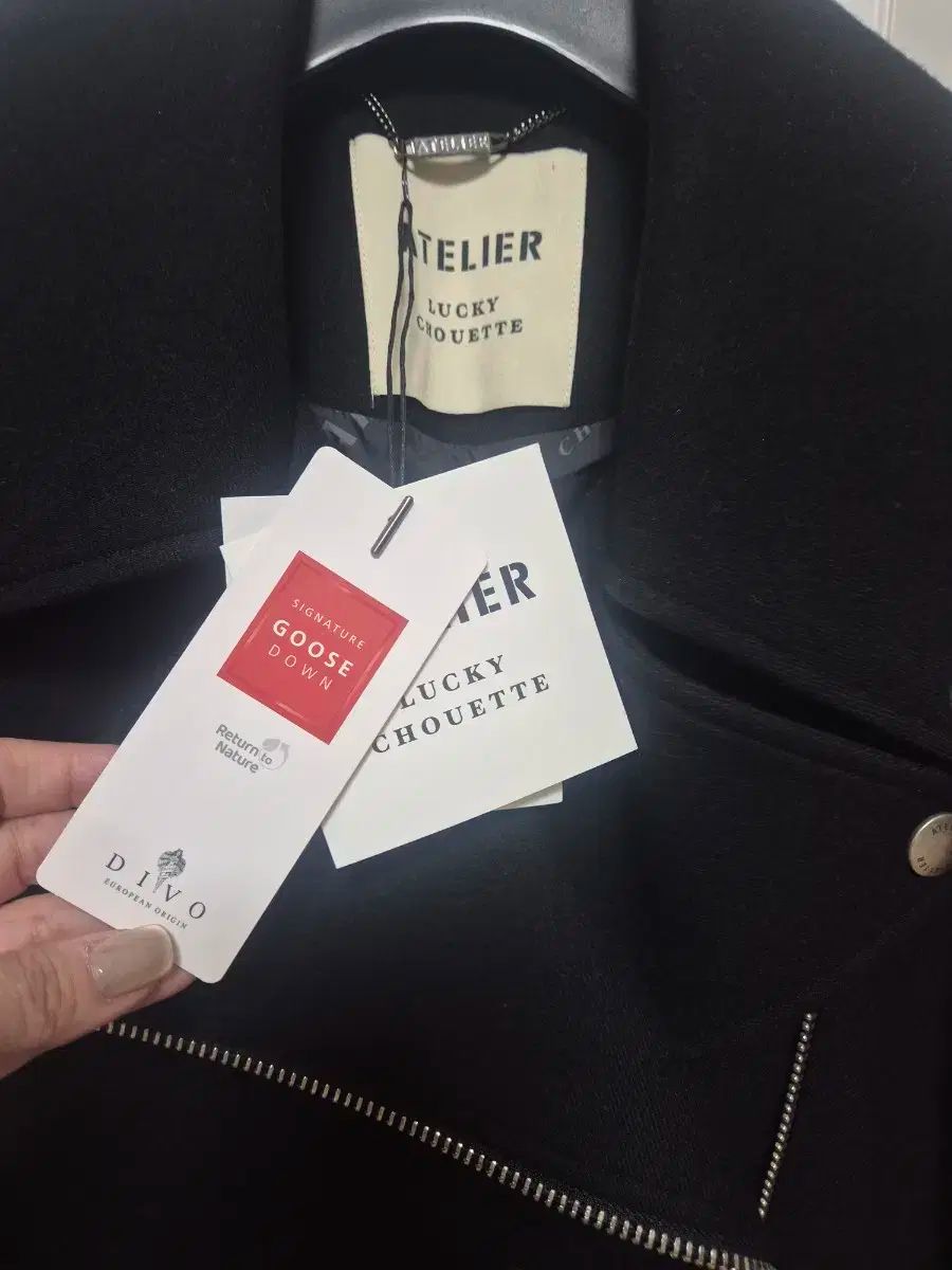 アトリエ ルーキー