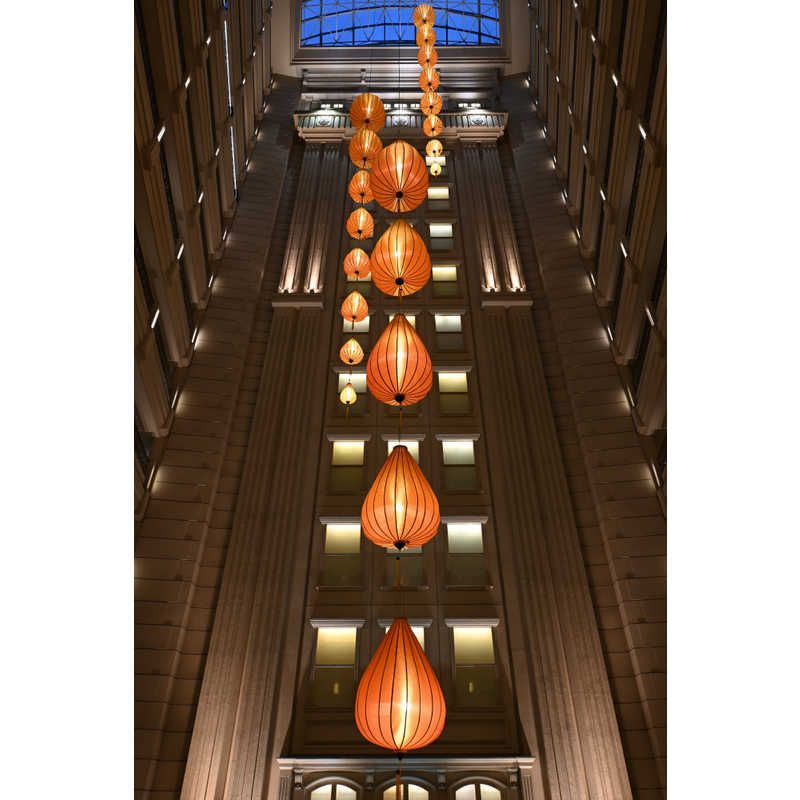 カメラレンズ ニコンZ