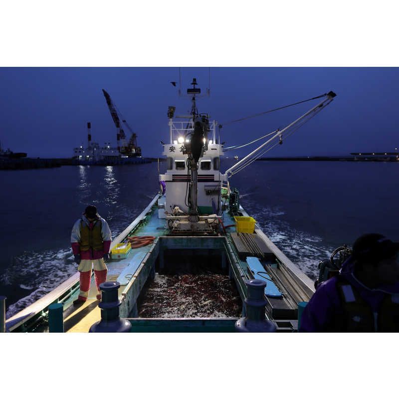 シグマ カメラレンズ