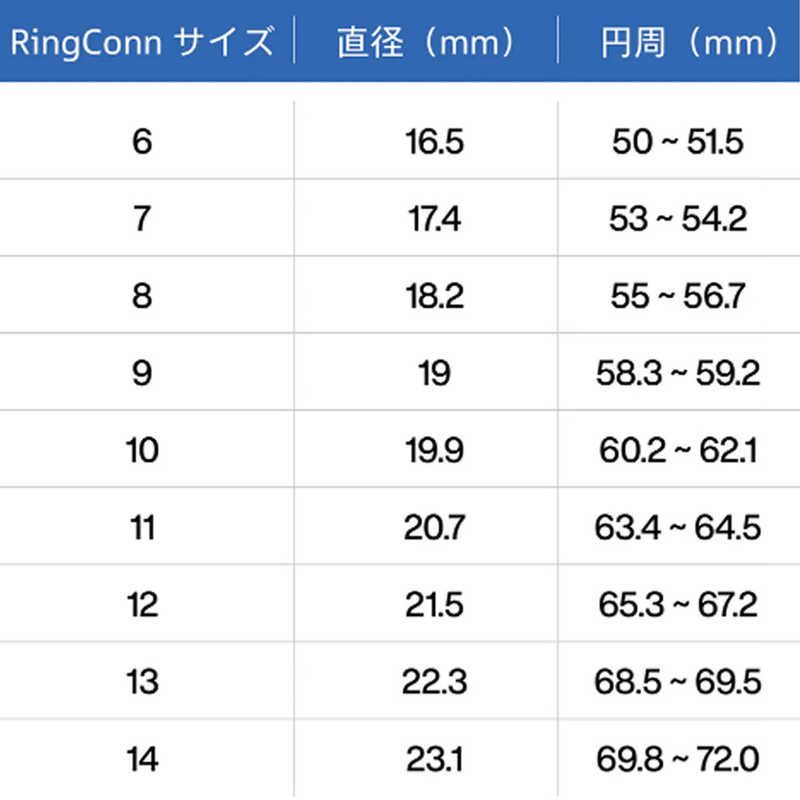 リンコン スマートリング 第2世代 US 10号 フューチャーシルバー RCA 01