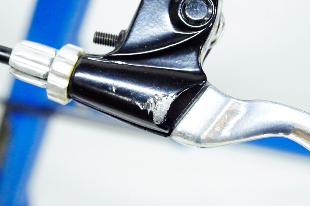 CRAZYSHEEP 「クレイジーシープ」 ROMNEY 2018年モデル 20インチ