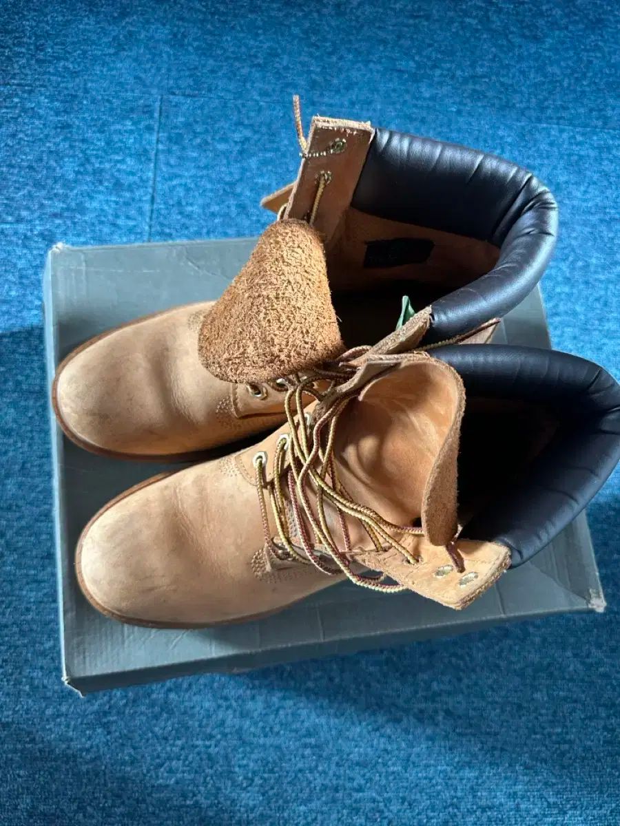 Timberland 6インチ US サイズ 265-270