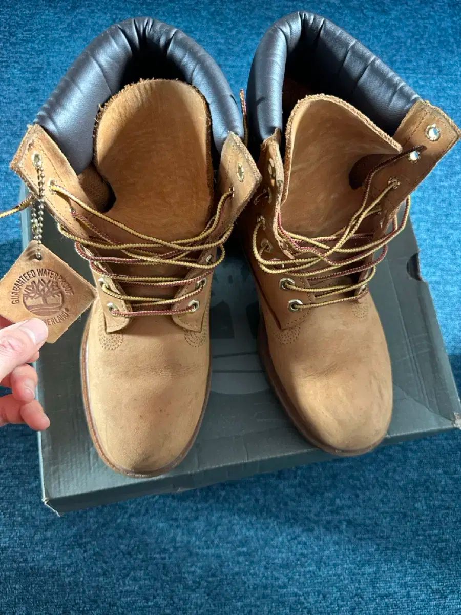 Timberland 6インチ