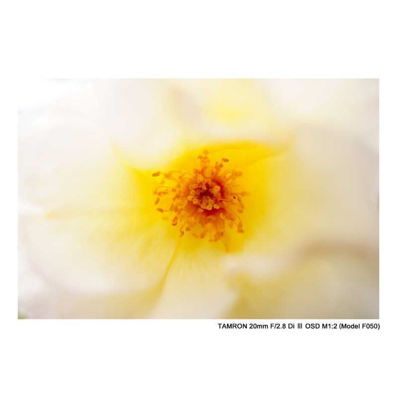  タムロン カメラレンズ ソニーE用 フルサイズ対応 20 mm F 2 8 Di III OSD M 1 Model 050 その他 デジタルカメラ
