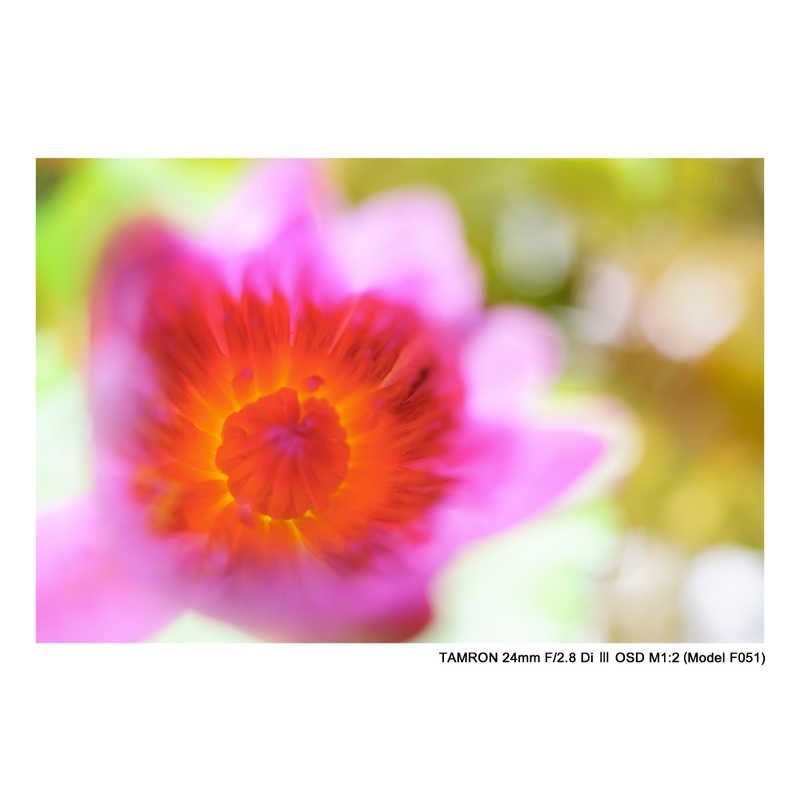 タムロン カメラレンズ ソニーE 単焦点レンズ 24mm F 2.8 Di III OSD M1 2 Model F051 ANARI_COM_TR