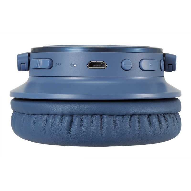 マイク対応 ブルー