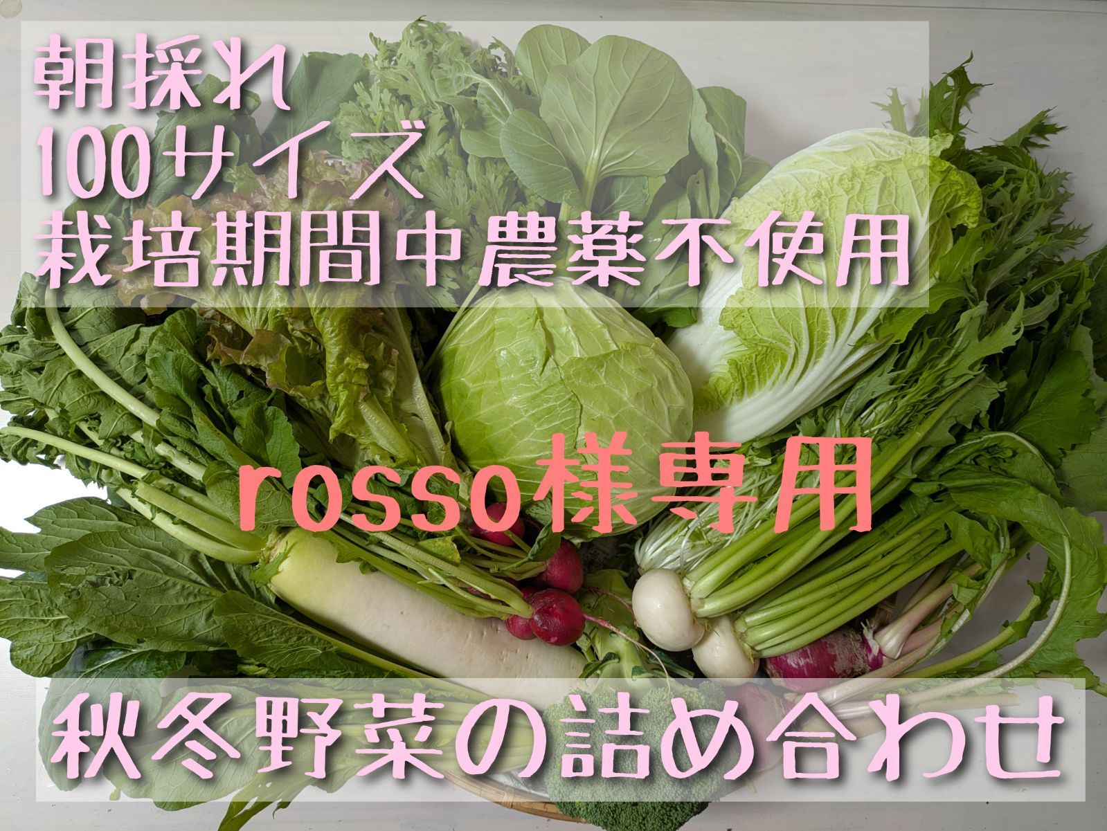 Dream Bearジャンパースカート クロ クリスマス テディベア