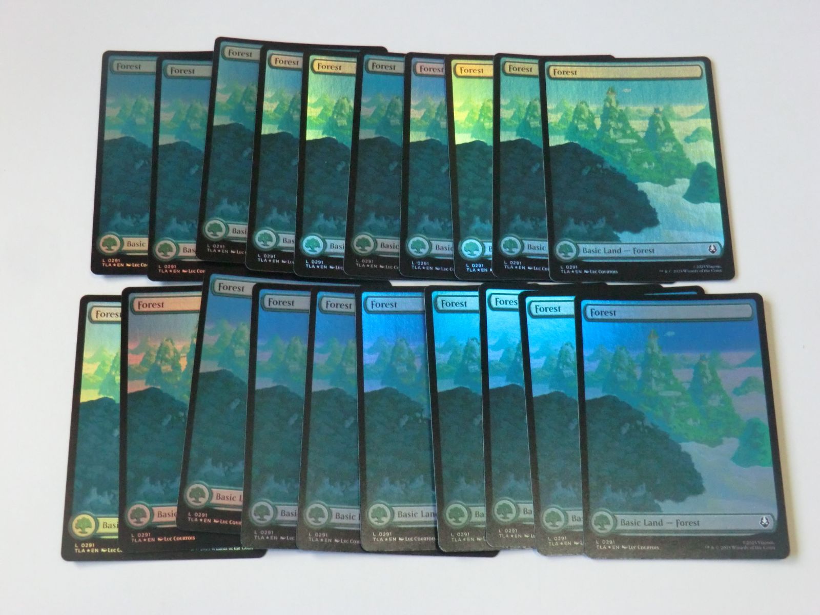 MTG 森（フルアートFOIL）（291） アバター 伝説の少年アン 英語 20枚