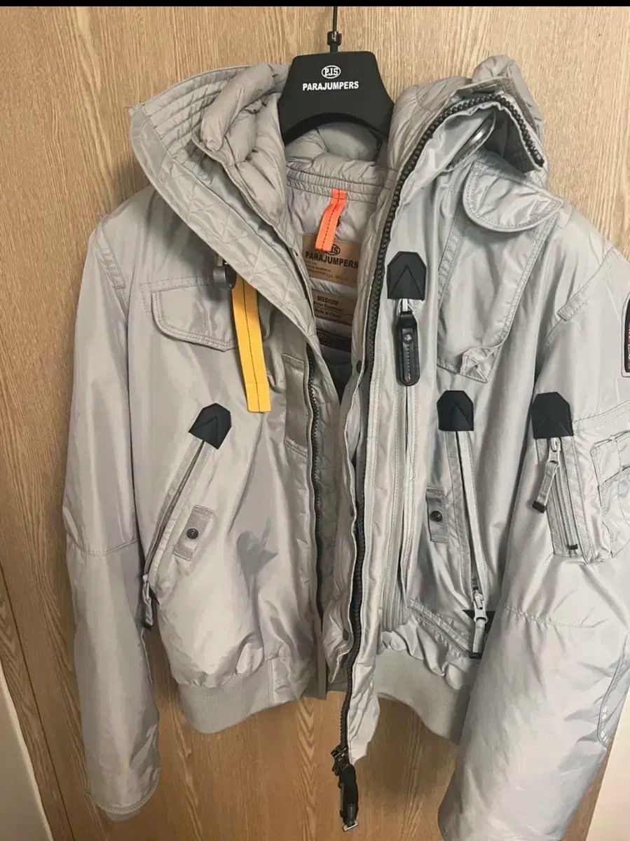 パラジャンパーズ ゴビ ダウン 22fw