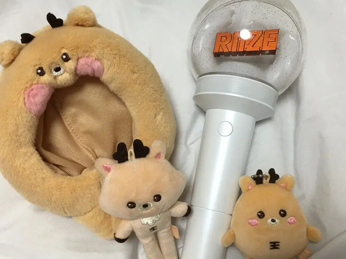 断捨離 RIIZE ライズ ソンチャン SUNGCHAN ウラク URAK 夜 YABU ペンライト まとめ