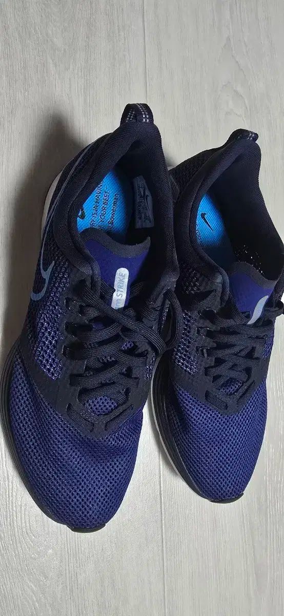 ナイキ ズーム ストライク スニーカー ネイビー 250