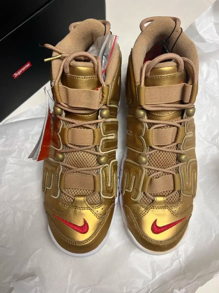 アップテンポ シューテンポ